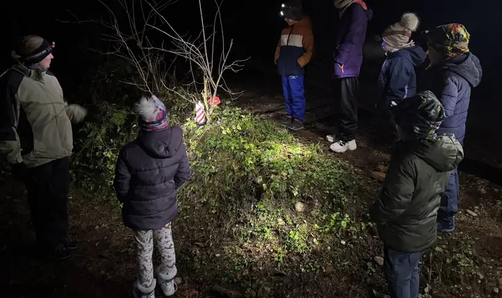 Otroci z lučkami raziskujejo večerni gozd